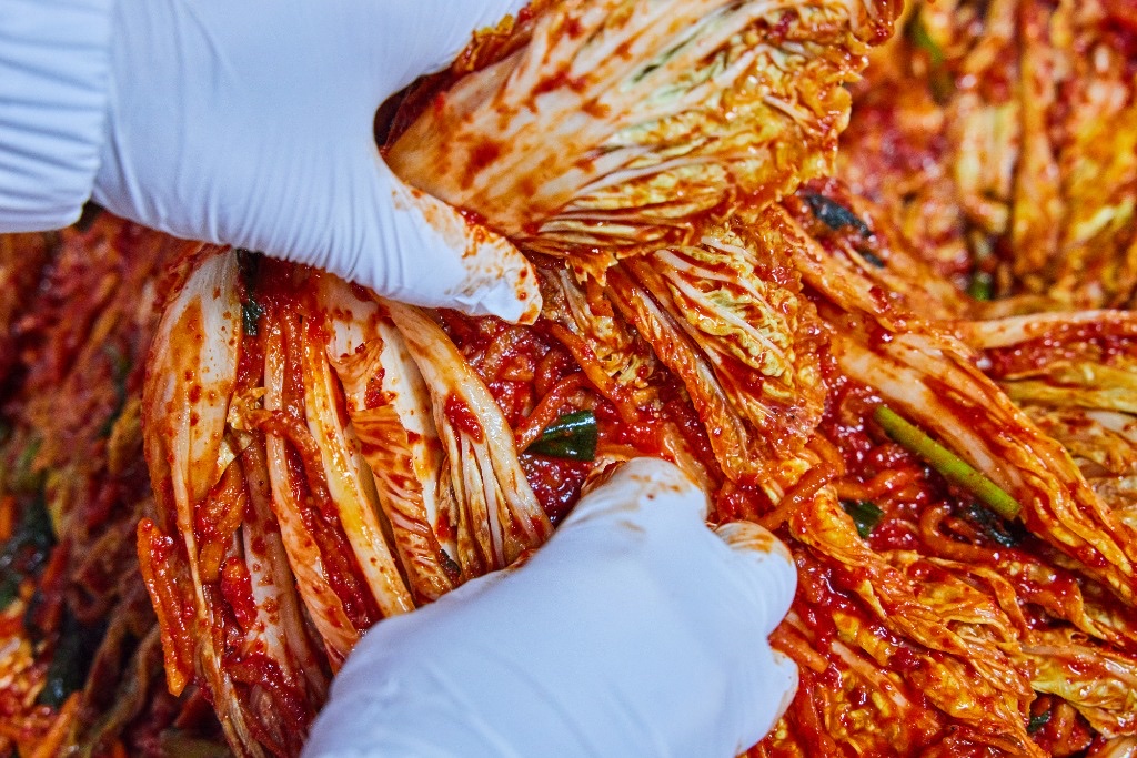 제철 수확과 담금